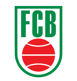 巴西FCB比賽圖標(biāo)
