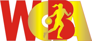 WCBA比賽圖標(biāo)